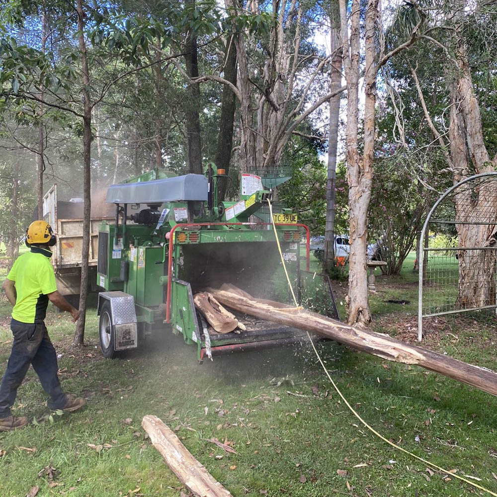 Worker feeding timber into a wood chipper