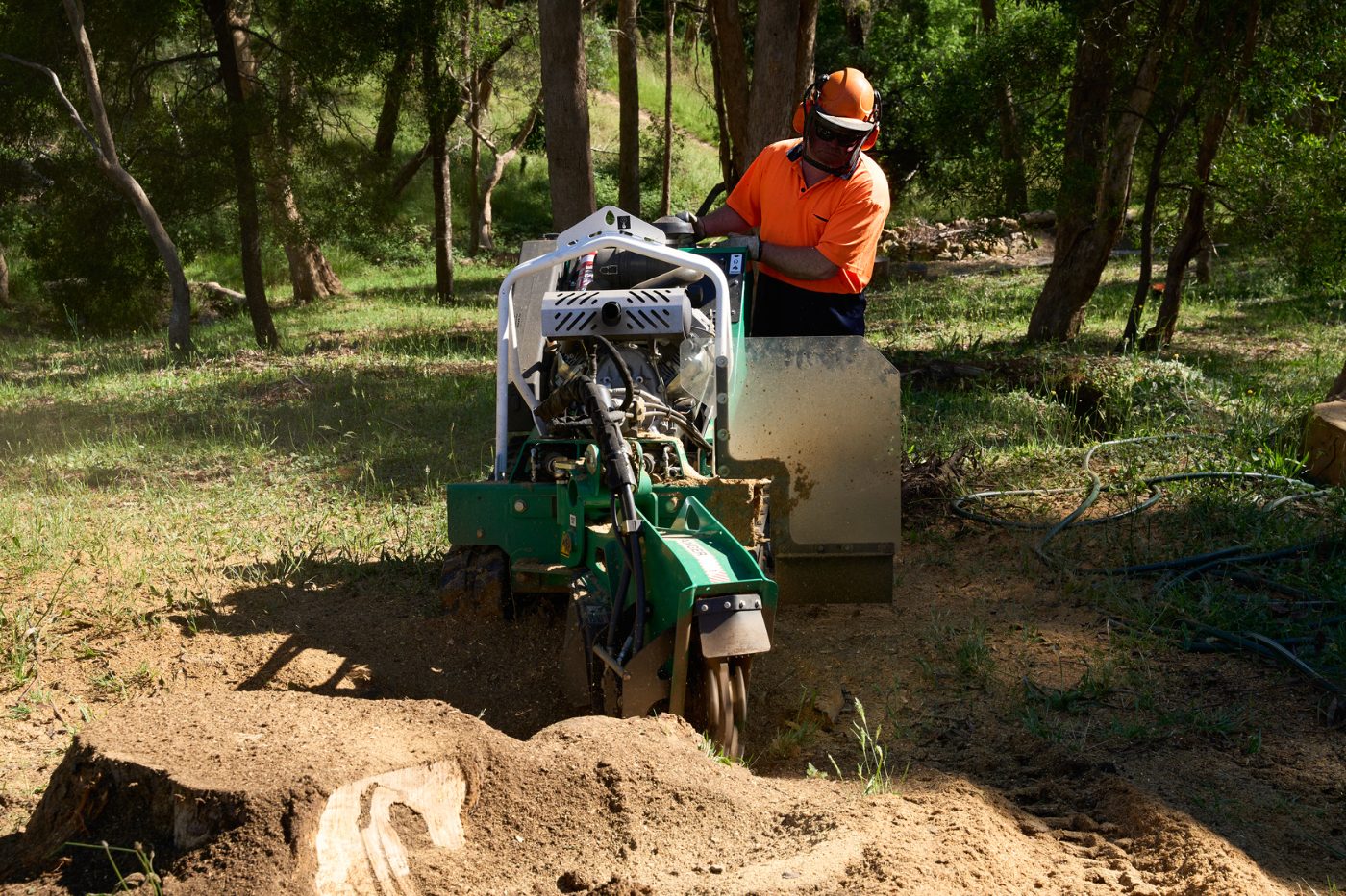 Operator using a stump grinder to remove a tree stump