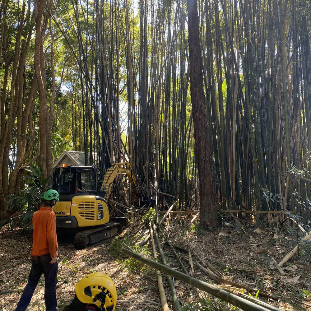 Felled timber and foliage cleared and stacked ready for removal