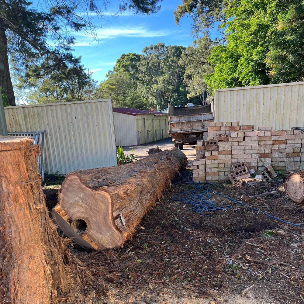 Large felled tree trunk sectioned on the ground beside a tip truck
